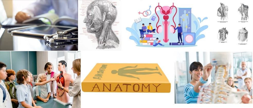 anatomy books for medical students in Pakistan